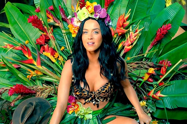 Image result for katy perry roar