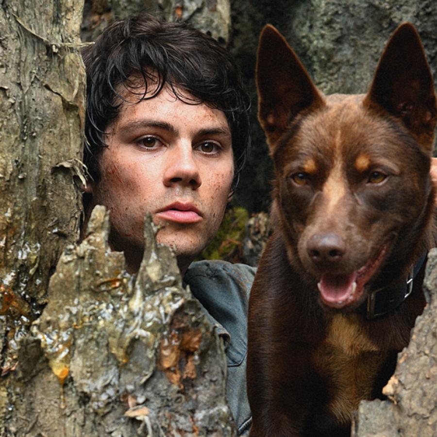 Interviews Coup De Main Magazine