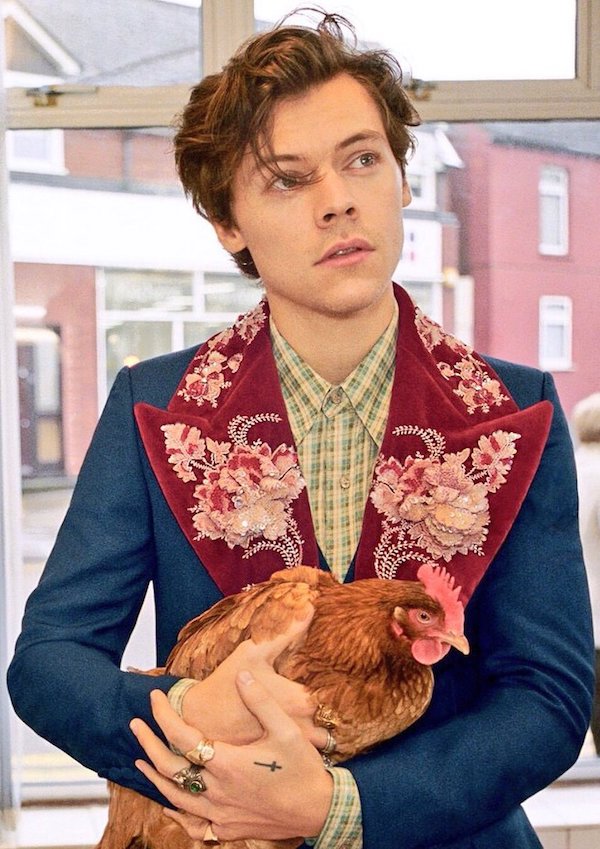 Gucci Men's Tailoring campaign: Harry Styles 