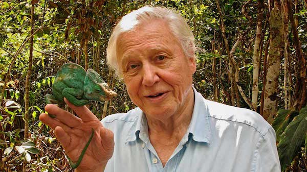 Sir David Attenborough announces first ever NZ show. | Coup De Main