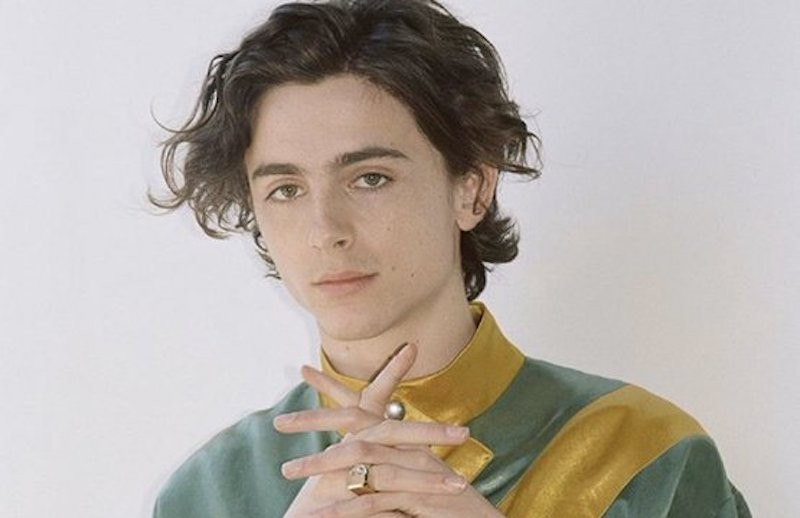 Timothée Chalamet stars on the cover of Dazed China