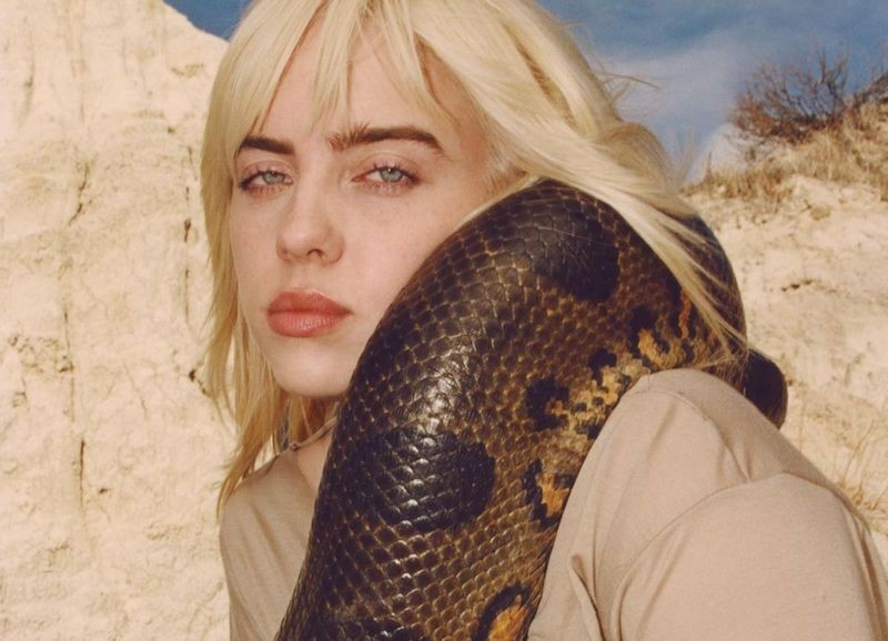 Billie Eilish in British Vogue: What the Cover Means - The New York Times