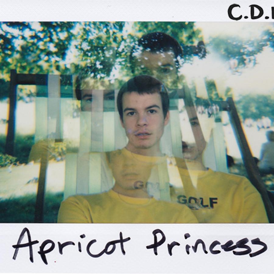 Rex Orange County announces 'Apricot Princess' vinyl pre