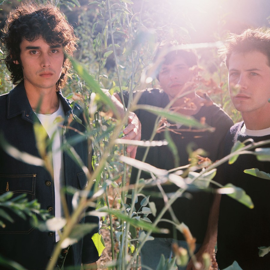 Interview: The ebb and flow of Wallows.