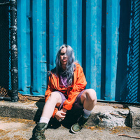 jumpman23 billie eilish